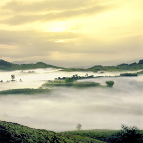 Dawn at the Mountains